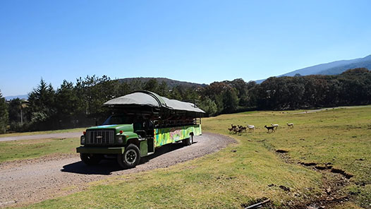 RESERVA SALVAJE SERENGETI