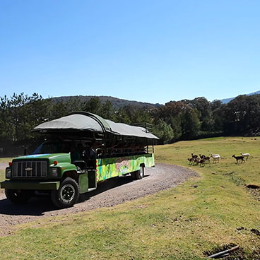 RESERVA SALVAJE SERENGETI